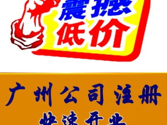 深圳工商注冊與代理記賬全攻略 一般納稅人與小規(guī)模公司指南